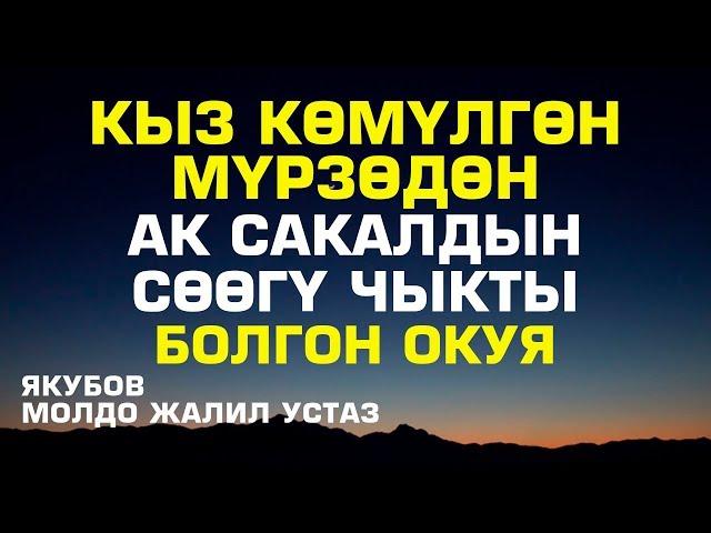 Кыз көмүлгөн мүрзөдөн ак сакалдын сөөгү чыкты (болгон окуя)