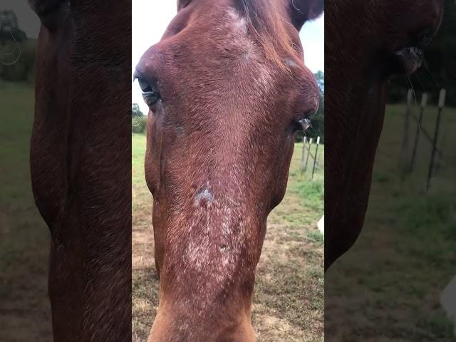 His eyes show a whole new galaxy ️