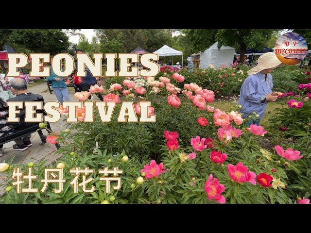 Breathtaking Blooms : Journey Through Oshawa's 19th Peonies Festival! 4K