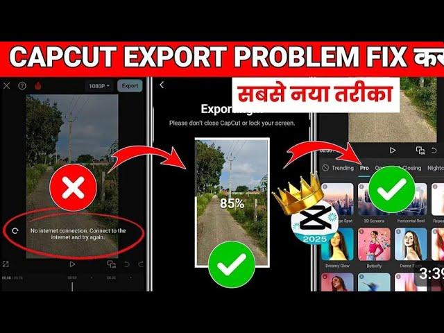 Capcut No Internet  Problem Think Karen ii  Video denkhe and think Karen