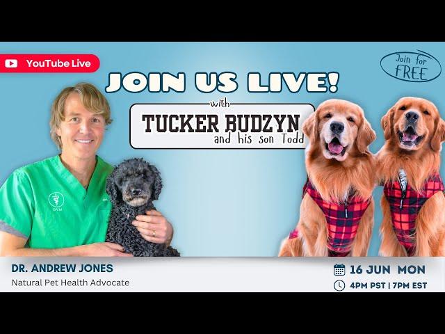 Dog Cancer Natural Remedies for Prevention and Treatment | Livestream with Tucker Budzyn