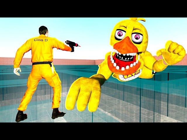 ANIMATRONICS CHASE US IN A GLASS MAZE FNAF COOP Garry's Mod Sandbox