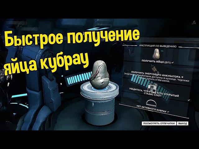 Как получить яйцо кубрау-где его найти (Гайд по варфрейм) В 2020 году!