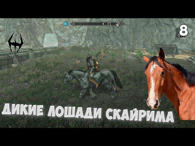 The Elder Scrolls V: Skyrim Anniversary Edition | #8 • Дикие лошади Скайрима