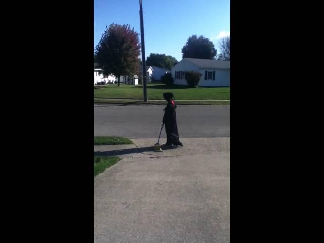 Random guy in my driveway