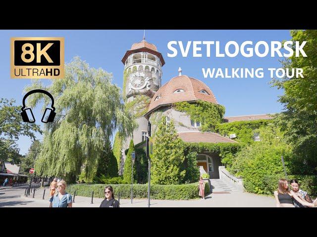 Svetlogorsk Walking Tour ~ 8K 60fpsCity Walk With Real Ambient Sounds