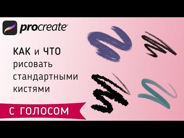 СТАНДАРТНЫЕ КИСТИ в Procreate. Плюсы и минусы I Ok_doodle