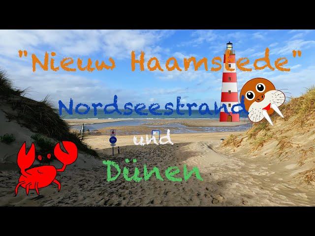 "Nieuw Haamstede" - Dünen- und Strandspaziergang