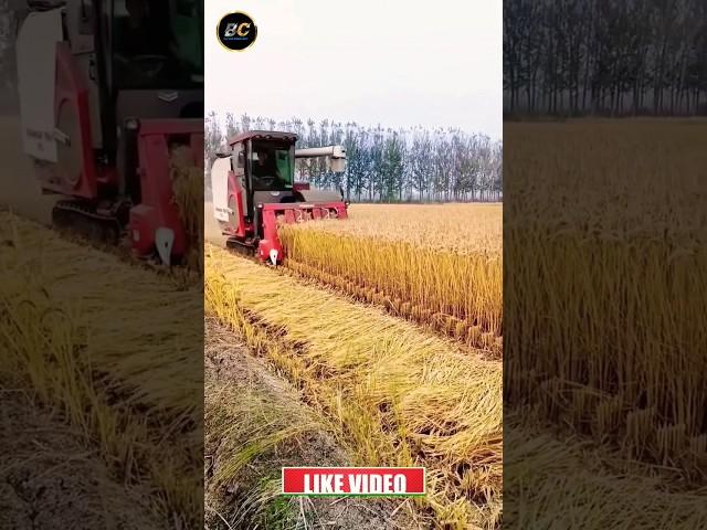 Mini harvester in India #yanmar #harvester #shorts