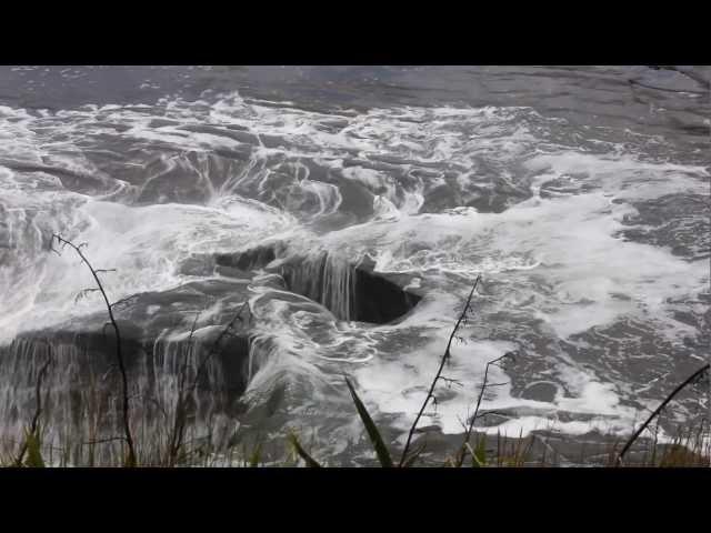 Blowhole in action at Muriwai Beach