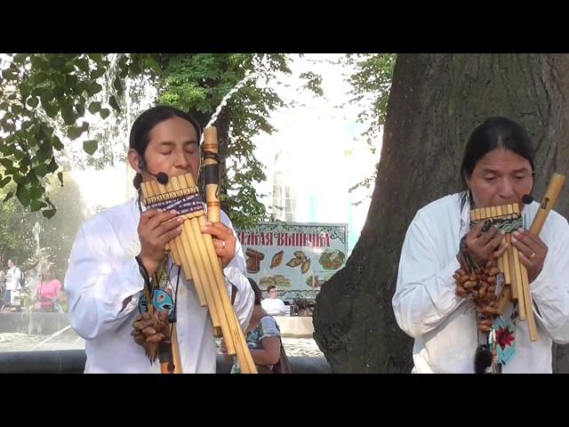 Indian dance! Inty Taki. Indians from Ecuador Runa Kay & Inty "Pakarina".