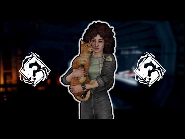 High MMR Survivor Gameplay | Chaos Shuffle | DBD | No Commentary