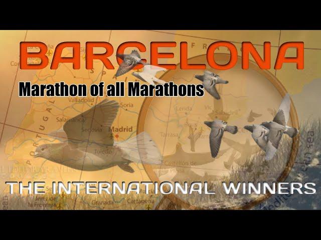 Marathon of All Marathons - International Barcelona Pigeon Race Winners (2011 - 2021)