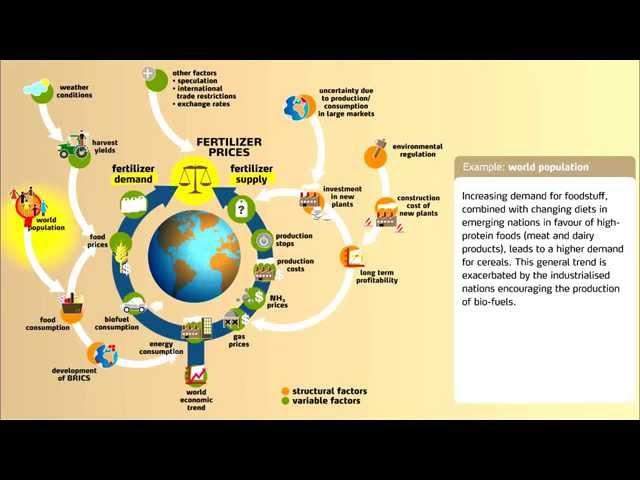 Understanding Fertilizer Market Dynamics