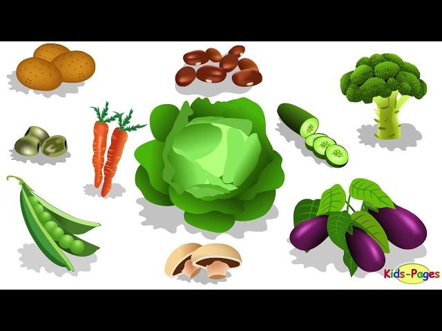 Learn Vegetables Vocabulary in English