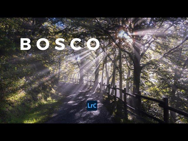 TUTORIAL LIGHTROOM CREA ATMOSFERE MAGICHE NEI TUOI SCATTI DI BOSCO