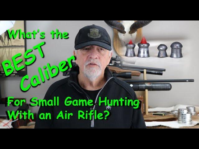 The Best Caliber for Hunting Small Game with an Air Rifle?