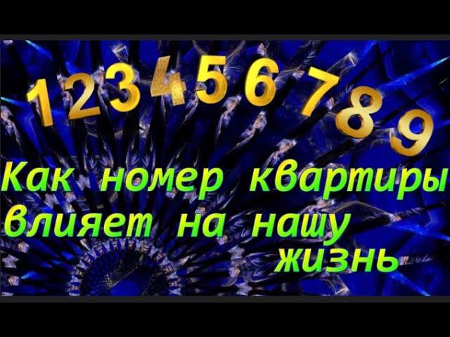 Как номер квартиры влияет на нашу Жизнь!