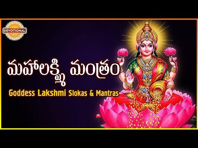 Maha Lakshmi Mantram | Goddess Lakshmi Devi Telugu And Sanskrit Slokas | Devotional TV