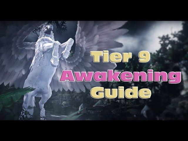 BDO - Tier 9 Awakening Guide - What You Need