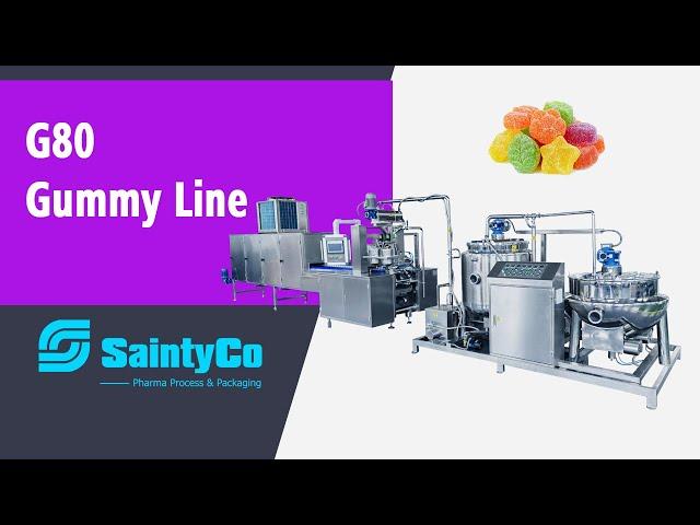 G-80 Automatic Gummy Production Equipment-saintyco