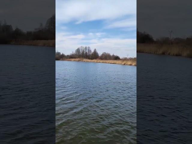 A refreshing getaway #lake #outdoors #relaxation #calming #water #serenity #refreshing #mindfulness