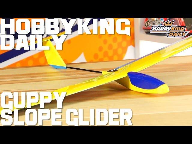 Guppy Balsa Slope Glider - HobbyKing Daily