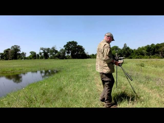 What hogs and animials hear from suppressed rifles.