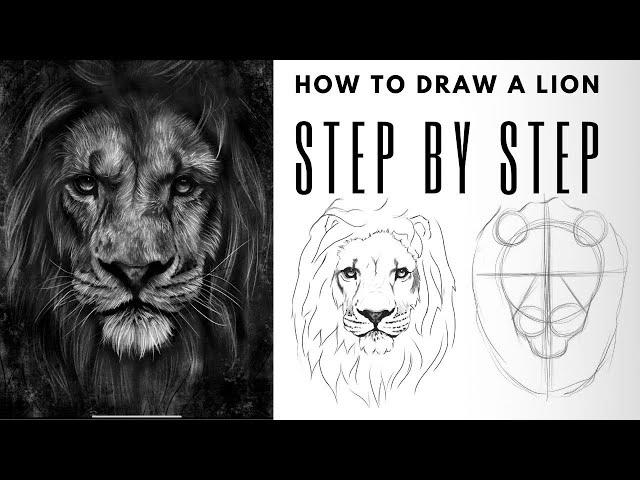 Easy Step by Step Guide for Drawing a Realistic Lion