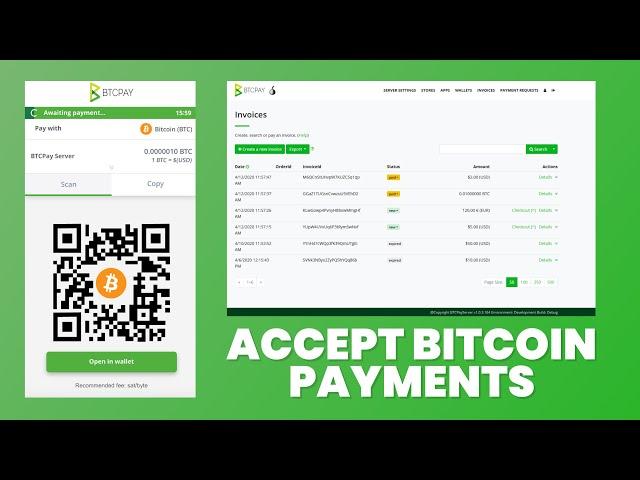 BTCPay Server: Accept Bitcoin Payments (FREE)