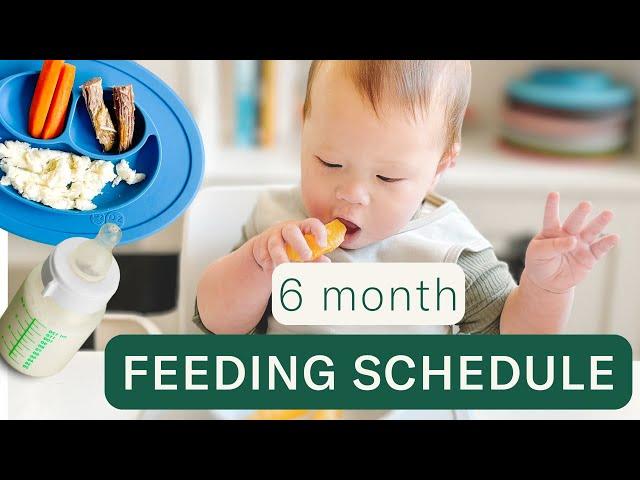 Day in the Life Feeding a 6 Month Baby (Meals, Schedules, Milk Feeds)