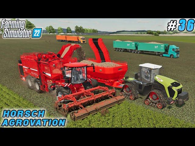 Improve Beet Harvest Efficiency by Purchasing Beet Harvesting Equipment | HORSCH  Farm | FS 22 | #36