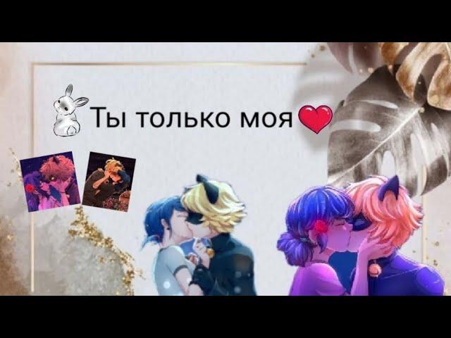 (18+) Переписка Леди Баг и Супер-Кот "Ты только моя!" 1 часть. Конец.