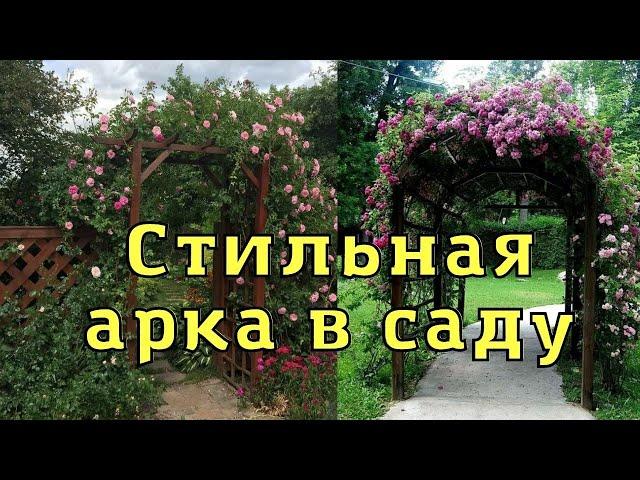 Арка и пергола в саду. Опора для вьющихся растений.