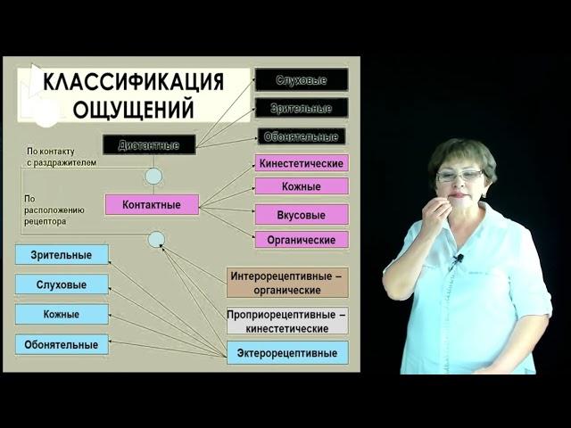 Лекерова Г.Ж. - 2.Психический процесс – ощущения