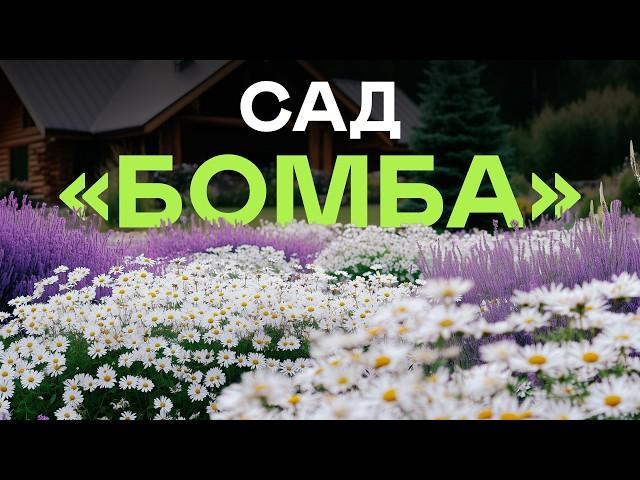 10 РАСТЕНИЙ КОТОРЫМ ВООБЩЕ НЕ НУЖЕН УХОД!