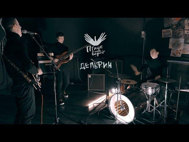 Птицы пОд водоЙ  - Дельфин (студия МХИС 2019)