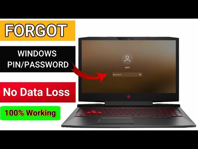 Reset Windows 10/11 Password/PIN Without Losing Data | Forgot Windows Password/PIN | Reset Windows