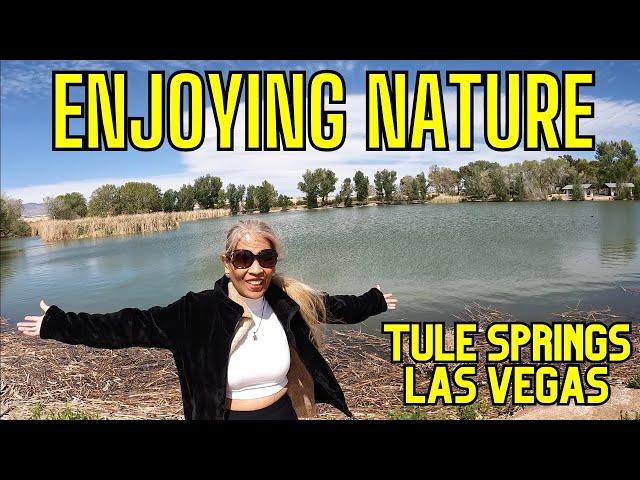 Tule Springs Las Vegas - A Fun Day in the Park Enjoying Nature