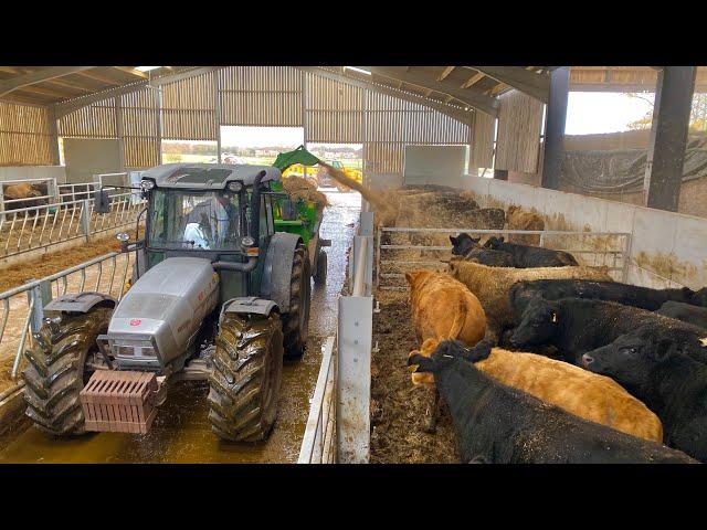 BEDDING UP 100 COWS IN 3 MINUTES WITH A BRAND NEW MACHINE !