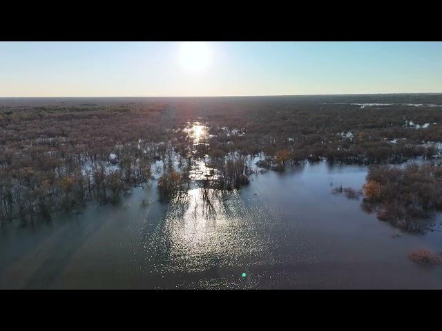 Mini 4 Pro-Barker Dam and Flooded Bush Park