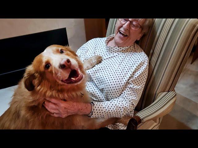 Grandparents and their Dog, who never talks about age with them️