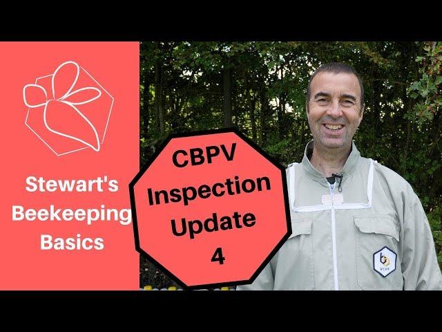 Chronic Bee Paralysis Virus Update 4 - Stewart Spinks at The Norfolk Honey Co.