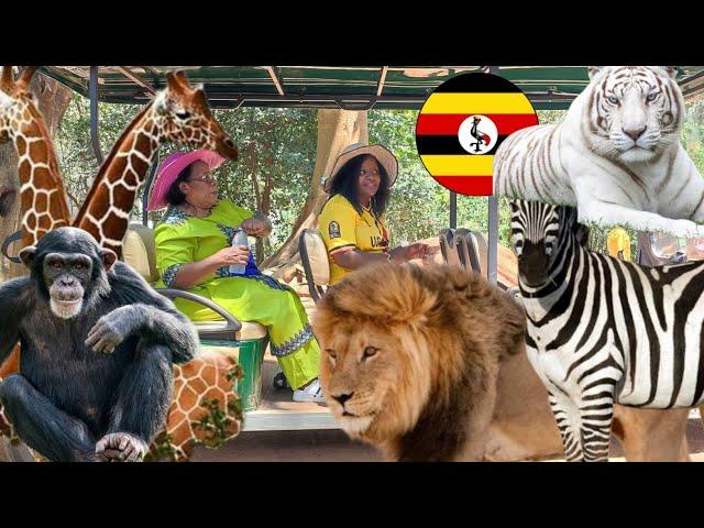 Welcome To Wildlife just 15minutes from Entebbe Airport. All the Animals you need  #Full Documentary