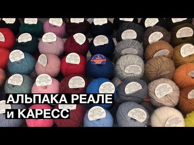 ОБЗОР АЛЬПАКА РЕАЛЕ и КАРЕСС