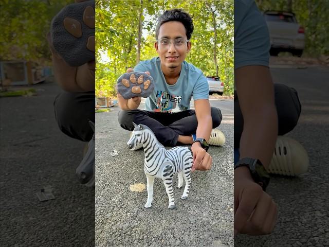 Rc Remote Control Zebra Unboxing