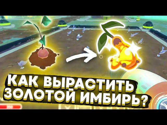 Slime Rancher. КАК ВЫРАСТИТЬ ЗОЛОТИСТЫЙ ИМБИРЬ?! +мод на погоду