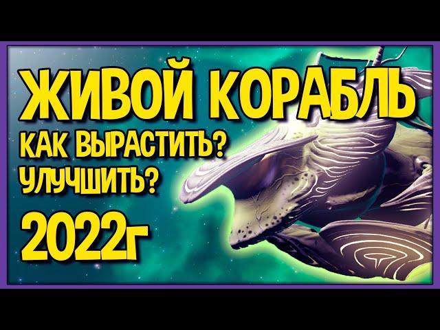 Живой корабль 2022 году | Как получить? Как улучшать? No Man's Sky Гайд