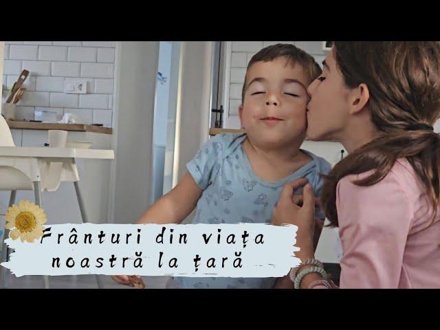 Păsări în bucătărie  iubire de frați + mâncare de prânz