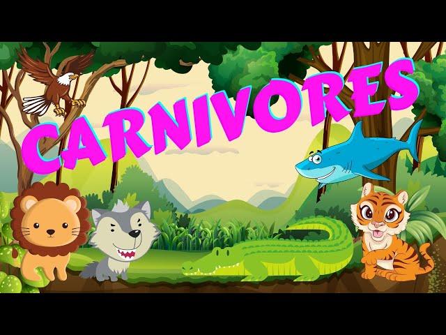 Carnivores | Types of Animals | Science for Kids